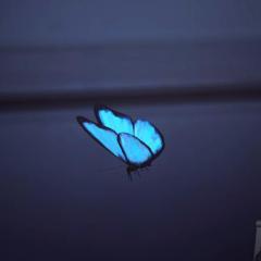 Butterfly_effect