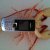lobsterphone